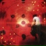 6EXTERMINATION