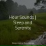 The Sleep Helpers, Spa, Classical Study Music