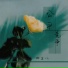 娜宝儿