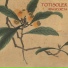 Toti Soler