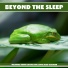 Jack Sleep