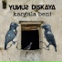 Yunus Dişkaya