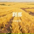 DM蒙多