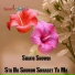 Shafiq Showqi