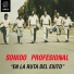 Sonido Profesional