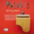 NS Big Band