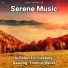 Various Artists
