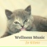 SPA & Wellness Masters Massage