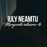 Iuly Neamtu