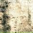 STRONGO13