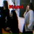 Lynamb