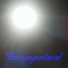 Shiyopoloid
