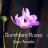 Durimtare Russo