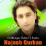 Najeeb Qurban