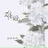 是珊珊阿