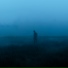 .diedlonely, nightblure