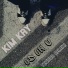 Kim Kay