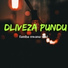 Dliveza pundu
