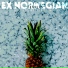 Ex Norwegian
