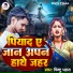 Pintu Pyara