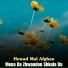 Hewad Mal Afghan
