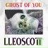 lleoscott