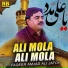 Faqeer Amjad Ali Jatoi