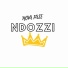 Ndozzi