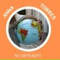 Anna Torres