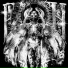 HXVSAGE, sillicium