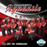 Orquesta Aguanile