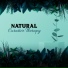 Calm Nature Oasis, Nature Meditation Academy