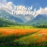 Ambientology, Ambient 11, Serenity Calls