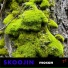 Skoojin