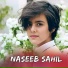 Naseeb Sahil