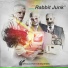 Rabbit Junk feat. Amelia Arsenic