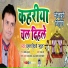 Rahul Tiwari Mridul