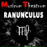 Musicum Theatrum