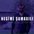 Nesimi Şamaxılı