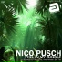 Nico Pusch