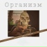 Цветные очки серости