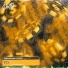 (25-28 Hz) Ambassador- 7vvch-777