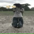 Kdagui