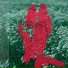 Реставрация feat. Haydron