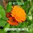 Pensioners Unlimited