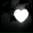 BILDER