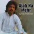 Ayoub Shahzad