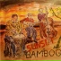 Sunset Bamboo