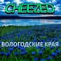 CHEEZED