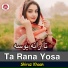 Shiraz Khaan